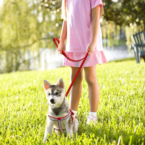 Satu Set Tali dan Kekang Anjing Kulit Suede Lembut, Kekang Anjing dengan Liontin untuk Hewan Peliharaan Kecil Sedang - Product Image 4