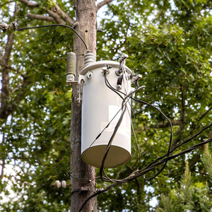 D11 75 KVA lõi vô định hình MV & HV biến áp một pha cực gắn tần số 50/60Hz được cung cấp bởi nhà cung cấp máy biến áp hàng đầu - Product Image 2