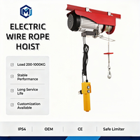 Palans électriques d'extérieur légers à télécommande sans fil, 110V 220V, freinage automatique en cas de panne de courant, pour l'agriculture