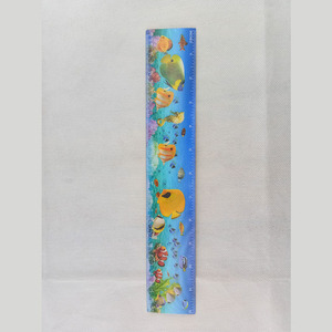 ผู้ผลิตขายส่งไม้บรรทัดพลาสติกพิมพ์ลายเลนติกูลาร์ออกแบบตามสั่ง - Product Image 3