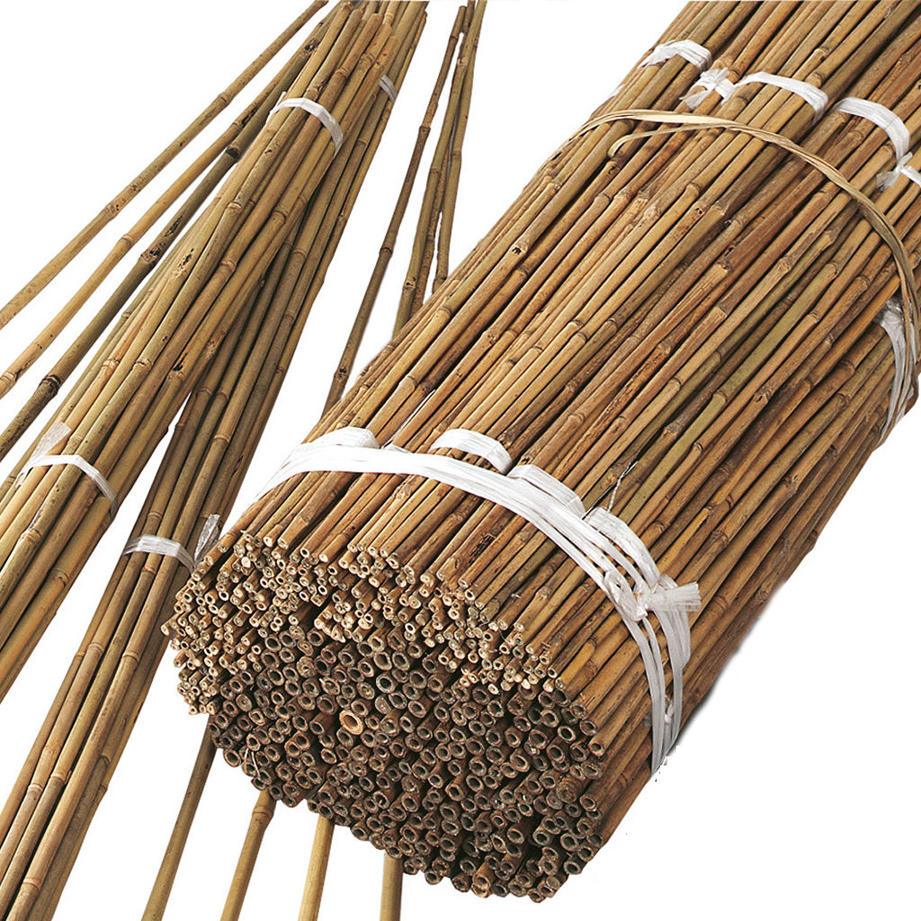 Mini Straight Dry Tonkin Bamboo Pole Bamboo stakes 40/60/80CM