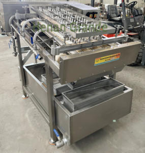 Máquina Peladora y Clasificadora de Langostas, Camarones y Langostinos Frescos/Máquina Peladora de Camarones Blancos/Máquina Peladora de Langostas - Product Image 2