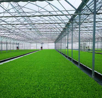 Serres préfabriquées en structure acier de style industriel moderne pour légumes et fleurs