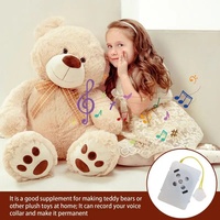 Module sonore enregistrable boîte vocale jouet en peluche boîtes à musique dispositif enregistreur vocal clair jouet en peluche Messages personnalisables