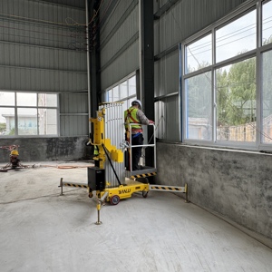 Plataforma Elevadora Más Vendida, Elevador de Mástil Eléctrico, Elevador de Mástil Vertical, Fácil de Operar, Elevador de Mástil Único - Product Image 2