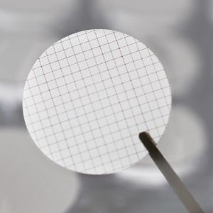 Papeles de filtro de rejilla avanzados Membrana de rejilla PES de 0,45 UM para Detección bacteriana - Product Image 5