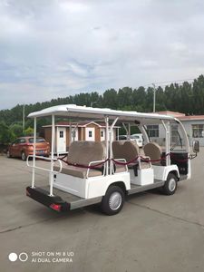 Weliftrich Bus touristique électrique 11 passagers 14 places, chariot de golf - Product Image 6