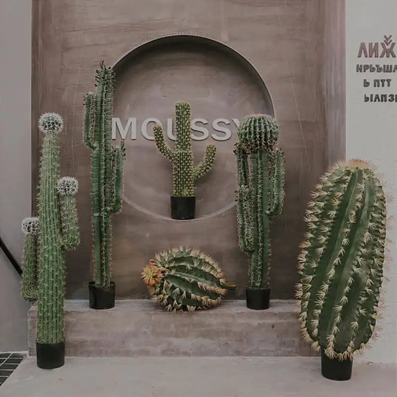 Promoção de portuguese, Compras Online de portuguese Promocionais - bola artificial  cactus planta.alibaba.com