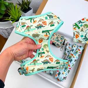 Arnés y Correa Ajustables para Perros con Impresión Personalizada, Sin Tirones, con Logotipo Personalizado para Perros Pequeños y Gatos - Product Image 1