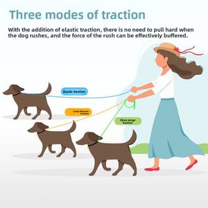 Correa para Perro Personalizada, Modelo Nuevo, Clásica, Moderna, Duradera, Multifuncional, a Prueba de Explosiones y Resistente a Impactos para Pasear Perros - Product Image 5