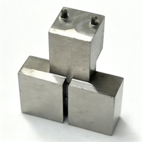 Gabarit de serrage et de positionnement en acier inoxydable CNC sur mesure en forme de L avec fente d'ajustement allongée, dispositif de positionnement de pince