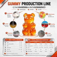 Productielijn voor jelly fruit gummy snoep met PLC-besturing, apparatuur voor het maken van zacht snoep, mal kan worden aangepast