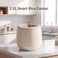 Cuisinière à riz intelligente 2,5 L, cuiseur électrique multifonction, mini-cuiseur intégré pour dortoir, cuiseur à porridge intelligent