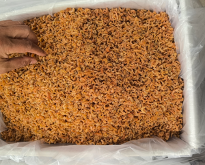 Camarones secos congelados de alta calidad a buen <span class=keywords><strong>precio</strong></span> para camarones pequeños - Product Image 2