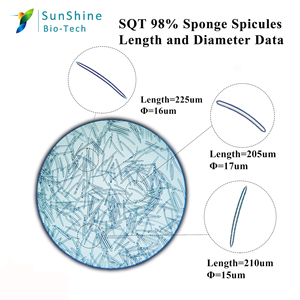 Specidy-Polvo de esponjas, 99.51%, spinila, sprilis SQT, biomicroagujas - Product Image 2