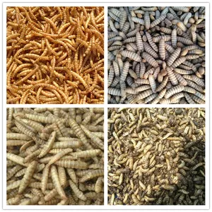BSF Larvas Máquina de secado de insectos Microondas Amarillo Gusano de la harina Microondas Secado automático Secador de microondas