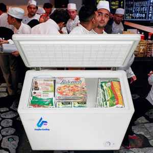 Vendita calda Pack <span class=keywords><strong>congelatore</strong></span> <span class=keywords><strong>orizzontale</strong></span> <span class=keywords><strong>congelatore</strong></span> grande Freezer <span class=keywords><strong>prezzo</strong></span> - Product Image 5