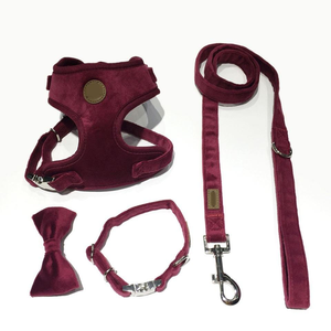 Ensemble de laisse et harnais pour chien en velours de luxe, réglable, collier et laisse doux pour chiens de petite et moyenne taille - Product Image 4