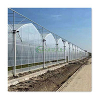 Invernadero de Plástico para Agricultura Comercial, Túnel de Cultivo de Polycarbonato para Hongos, Invernadero Multi-Span en Venta
