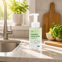 Fabricant Savon pour les mains hydratant de marque privée avec logo personnalisé et riche liquide moussant pour le lavage des mains 250ml