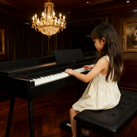 Beisite nouveau Style Portable professionnel Piano numérique 88 touches lestées Midi Rechargeable haut-parleur intégré électronique Musical