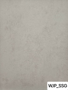 Panneaux Muraux Matériau Innovant Imperméable Ignifuge Léger Durable Longue Durée de Vie PS WOOJOO WELLBOARD Intérieur - Product Image 4