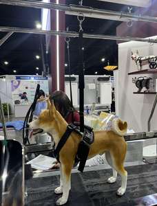 Caminadora Subacuática Eléctrica de Alta Velocidad para Mascotas EUR VET, Caminadora Subacuática de Acero Inoxidable, Equipo Veterinario - Product Image 4