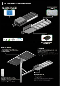 ไฟถนนโซลาร์เซลล์ LED แบบกำหนดเองได้ของ YEMING กันน้ำระดับ IP65 ผลิตจากอลูมิเนียมอัลลอยด์ ใช้พลังงานไฟฟ้ากระแสตรง/กระแสสลับ ได้รับการรับรองมาตรฐาน ROHS - Product Image 3