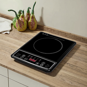 Fonte di energia elettrica a bruciatore singolo ad alta efficienza per uso domestico - Product Image 1