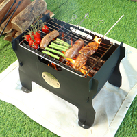 Brasero de table portable en métal personnalisé pour le camping en plein air, au gaz propane ou au bois, pour barbecue