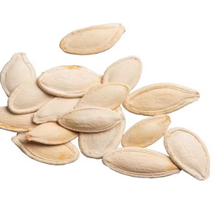 Extracto Herbal de Semilla de Calabaza Orgánica en Polvo Deshidratado, Grado Alimenticio, 25 KG para Exportación a Granel, Beneficioso para la Salud, Cultivo Artificial - Product Image 2