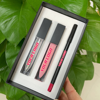 Ensemble de rouge à lèvres liquide et de crayon à lèvres 3 en 1 en gros, longue durée, DIY, végan, haute pigmentation, crayon à lèvres et gloss à lèvres, emballage en boîte