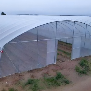 Serre <span class=keywords><strong>tunnel</strong></span> agricole simple travée de petite taille 10-100m, économique et commerciale, en film PE - Product Image 6