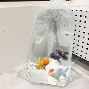 Factory Custom LD Polythene Transparent Side Gusset <b>Bags</b> with Gravure Printing for Sugar Packaging Recyclable Food Grade - Product Image 4
