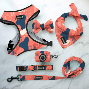 Ensemble de 6 Pièces OEM : Collier Tactique Réglable, Harnais Réversible Personnalisé pour Chien, Gilet Doux Anti-Traction de Designer - Product Image 3