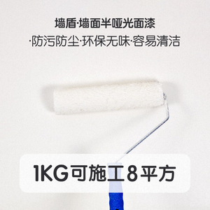 <span class=keywords><strong>Peinture</strong></span> au latex imperméable pour <span class=keywords><strong>mur</strong></span> extérieur avec texture élastique pour finition Revêtement de protection solaire pour <span class=keywords><strong>peinture</strong></span> murale d'ingénierie - Product Image 5