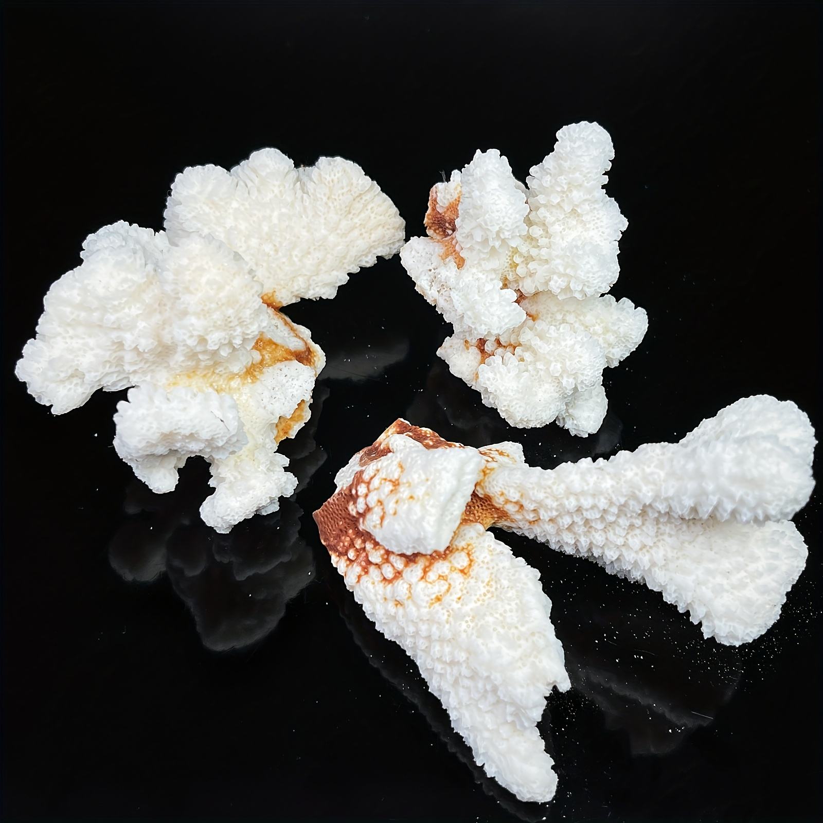 Coralline Stone Flower