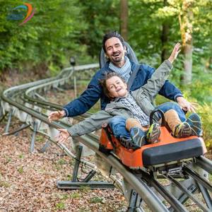 Parco divertimenti all'aperto sfida avventure giostre gioco alpino vagone ferroviario montagne russe - Product Image 6