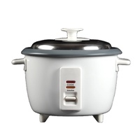 Mini cuiseur à riz électrique portable, appareil électroménager automatique avec spatule et tasse doseuse, boîtier en titane pour usage domestique