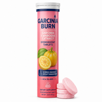 Comprimés effervescents amincissants OEM, extrait de Garcinia Cambogia + L-Carnitine pour soutenir le métabolisme