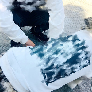 4XL-6XL grand chien <span class=keywords><strong>Labrador</strong></span> <span class=keywords><strong>golden</strong></span> <span class=keywords><strong>retriever</strong></span> assorti grand chien et propriétaire sweat à capuche vierge - Product Image 6