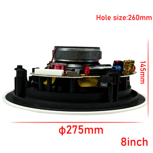 HQ-549 Altavoz de Techo de 2 Vías, Amplificador HiFi de Alta Gama, Ideal para Fiestas, Woofer de 8 Pulgadas y 100W, Sonido para Computadora y Escenario - Product Image 6