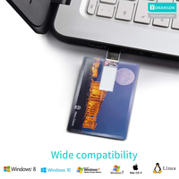 Memoria USB Personalizada con Logotipo, Tarjeta USB Económica de 128 MB a 256 GB, Memoria USB con Forma de Tarjeta de Crédito 2.0, Memoria USB Promocional para Empresas