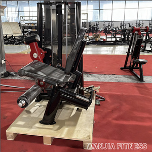 Attrezzatura Fitness Commerciale di Alta Gamma: Macchina Multifunzione per Estensione e Flessione Gambe in Acciaio Regolabile, con Carico a Perni, Eco-Friendly - Product Image 6