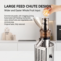 Extracteur de Jus Commercial Polyvalent à Pression à Froid en Acier Inoxydable – Machine à Mastication Lente Professionnelle