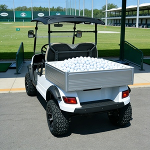 Carrito de Golf Eléctrico Todoterreno de Alta Calidad 4x4 72V con Batería de Litio, Elevado, Evolution, para Complejos Turísticos y Campos de Golf - Product Image 2