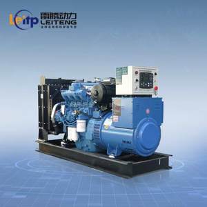 Leiteng 40KW 50KVA Dreiphasiger Leiser Dieselgenerator mit Autostart ATS 100% Kupfer-Wechselstromgenerator Ricardo-Motor Wassergekühlt - Product Image 4