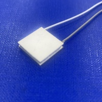 Module de refroidissement thermoélectrique à semi-conducteurs, mini-puce Peltier TEC 20*20mm