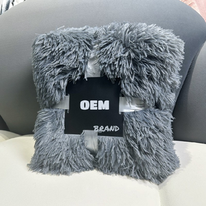 Vente chaude 100% Polyester Velours Couverture Double Couche Automne Hiver Enfants Cadeau En Peluche Velours Couverture Usine Ventes Directes - Product Image 4