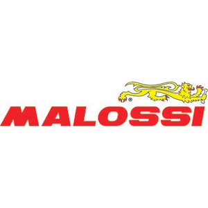Malossi ฟองน้ำสีแดงสองชั้น1414532,ฟิลเตอร์สำหรับ Vespa Primavera ผลิตในอิตาลี - Product Image 3